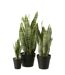 Plante Artificielle en Pot Dracaena Trifasciata 47cm Vert-2