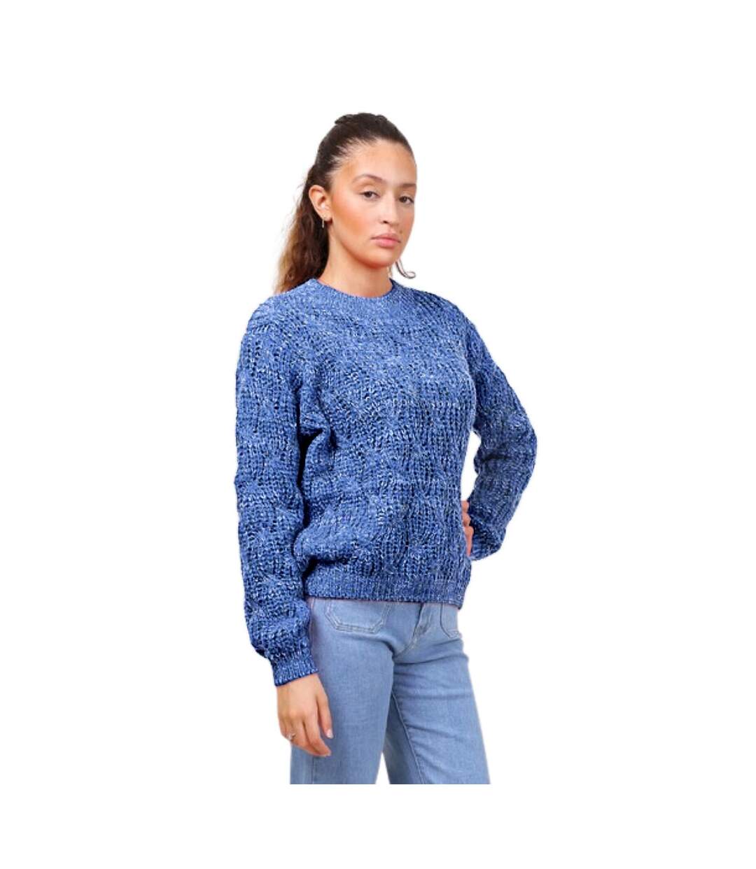 Pull femme col ras du cou manches longues - Couleur bleu-1