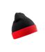 Result Genuine Recycled Unisex Adult Compass Beanie (Black/Red) - UTPC4202