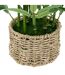 Bambou Artificiel en Pot Ly 46cm Naturel-2
