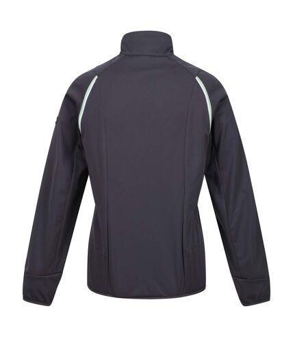 Regatta Womens/Ladies Steren Hybrid Jacket (Seal Grey/Quiet Green) - UTRG9299
