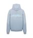 Mens Established Hoodie Storm Jack Wills-2