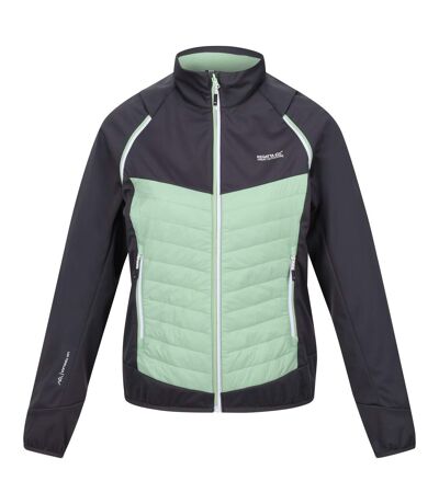 Regatta Womens/Ladies Steren Hybrid Jacket (Seal Grey/Quiet Green) - UTRG9299