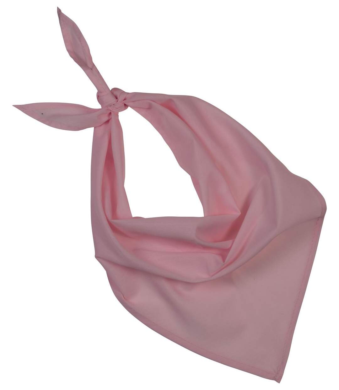 Lot de 10 bandanas fiesta - rose