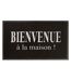Tapis d'Entrée Maison 45x75cm Noir & Gris-2