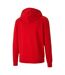 Sweat À Capuche Teamgoal Homme Rouge Puma-2