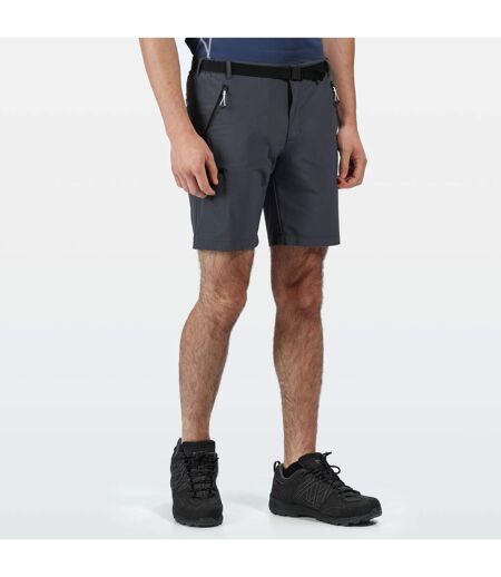 Regatta Mens Xert III Stretch Shorts (Seal Grey) - UTRG4948