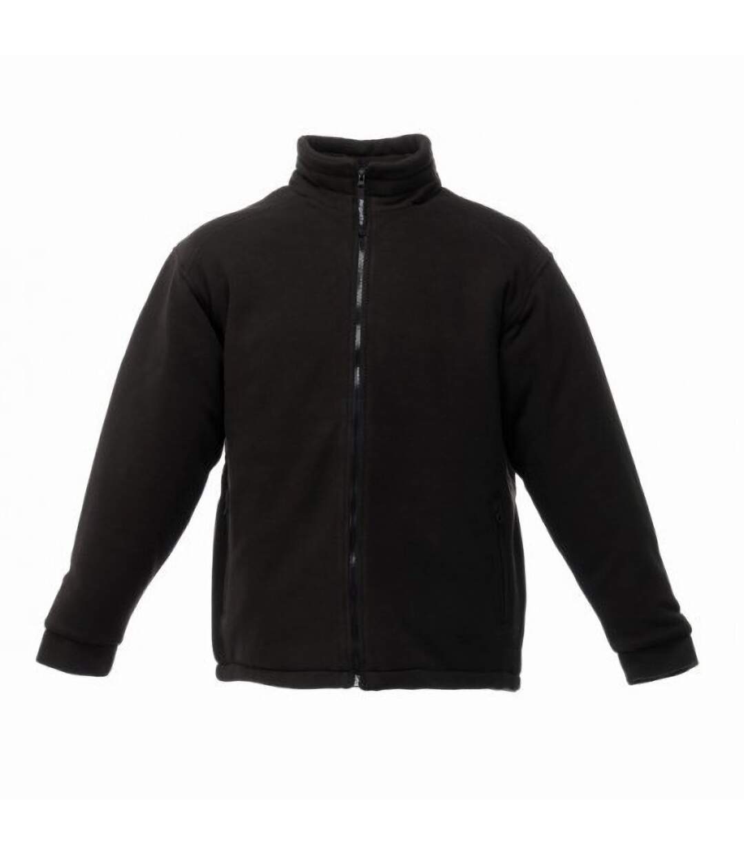 Regatta Mens Asgard II Quilted Fleece Jacket (Thermo-guard Insulation) (Black) - UTBC823