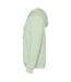 Sweat À Capuche Urban Homme Vert Brume Roly-3