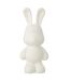 Statuette Lapin en Résine Eddy 36cm Blanc-1