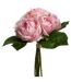 Bouquet de Fleurs 9 Roses 30cm Rose-1