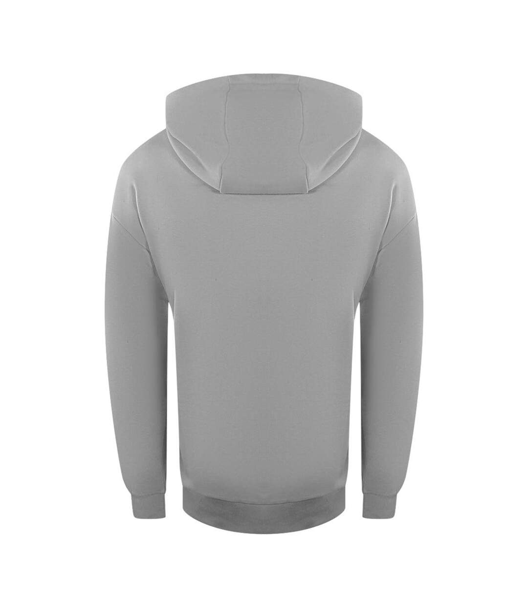 Sweat À Capuche Motif Logo Bloc Homme Gris Ice Iceberg-2