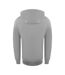 Sweat À Capuche Motif Logo Bloc Homme Gris Ice Iceberg-2