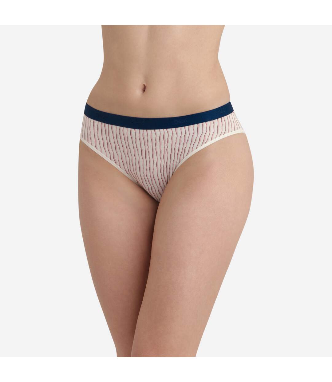 Lot de 5 culottes coton My Daily Confort-3