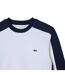Mens Colour Block Crew Neck Sweatshirt Blue White Lacoste-2