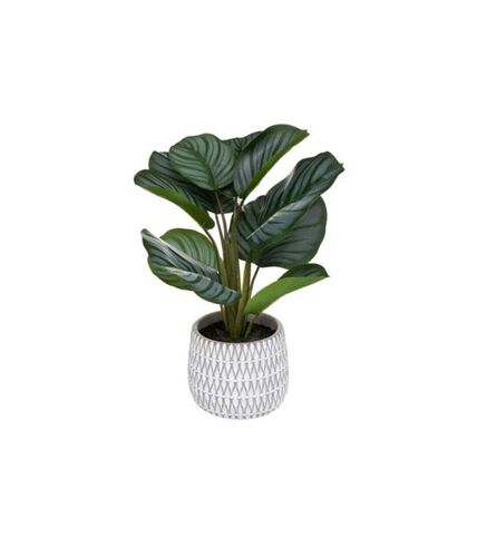 Plante Artificielle en Pot Maranta 45cm Vert