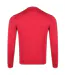 Sweat Motif/style Logo Brodé Homme Rose U.S. Polo-2