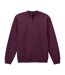 Sweat Softstyle Adulte Pourpre Gildan-1