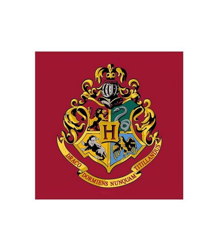 Harry Potter - Tapis (Bordeaux / Jaune) (Taille unique) - UTAG688