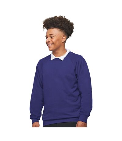 AWDis Academy Childrens/Kids Crew Neck Raglan School Sweatshirt (Purple) - UTRW3916