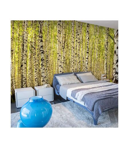 Papier Peint Forêt de Bouleaux II 450x270cm