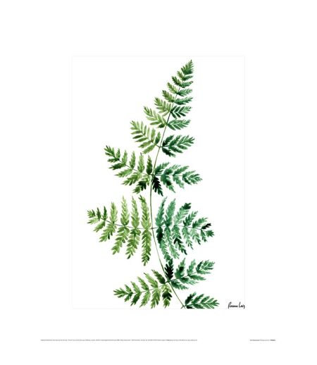 Rosana Laiz - Imprimé FERN (Vert / Blanc) (40 cm x 30 cm) - UTPM5350