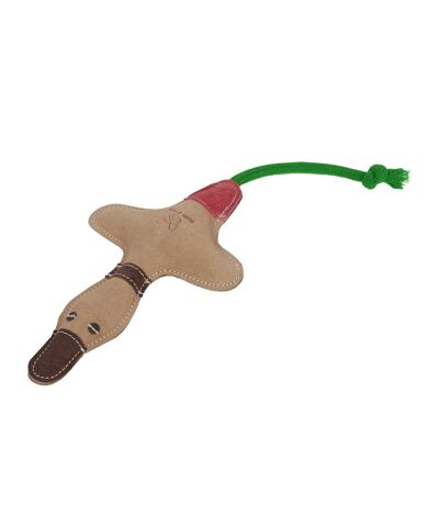 Duck leather interactive dog toy one size brown/green/red Digby & Fox