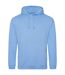 Sweat À Capuche College Adulte Bleu Bleuet Awdis-1