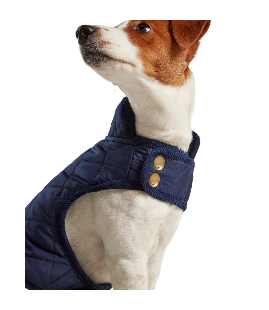 Quilted dog coat m navy Joules-3