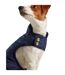 Quilted dog coat m navy Joules