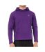 Sweat violet homme le coq sportif hoodys-1