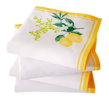 2 serviettes de table