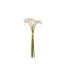 Bouquet de Fleurs Artificielles Calla 57cm Blanc