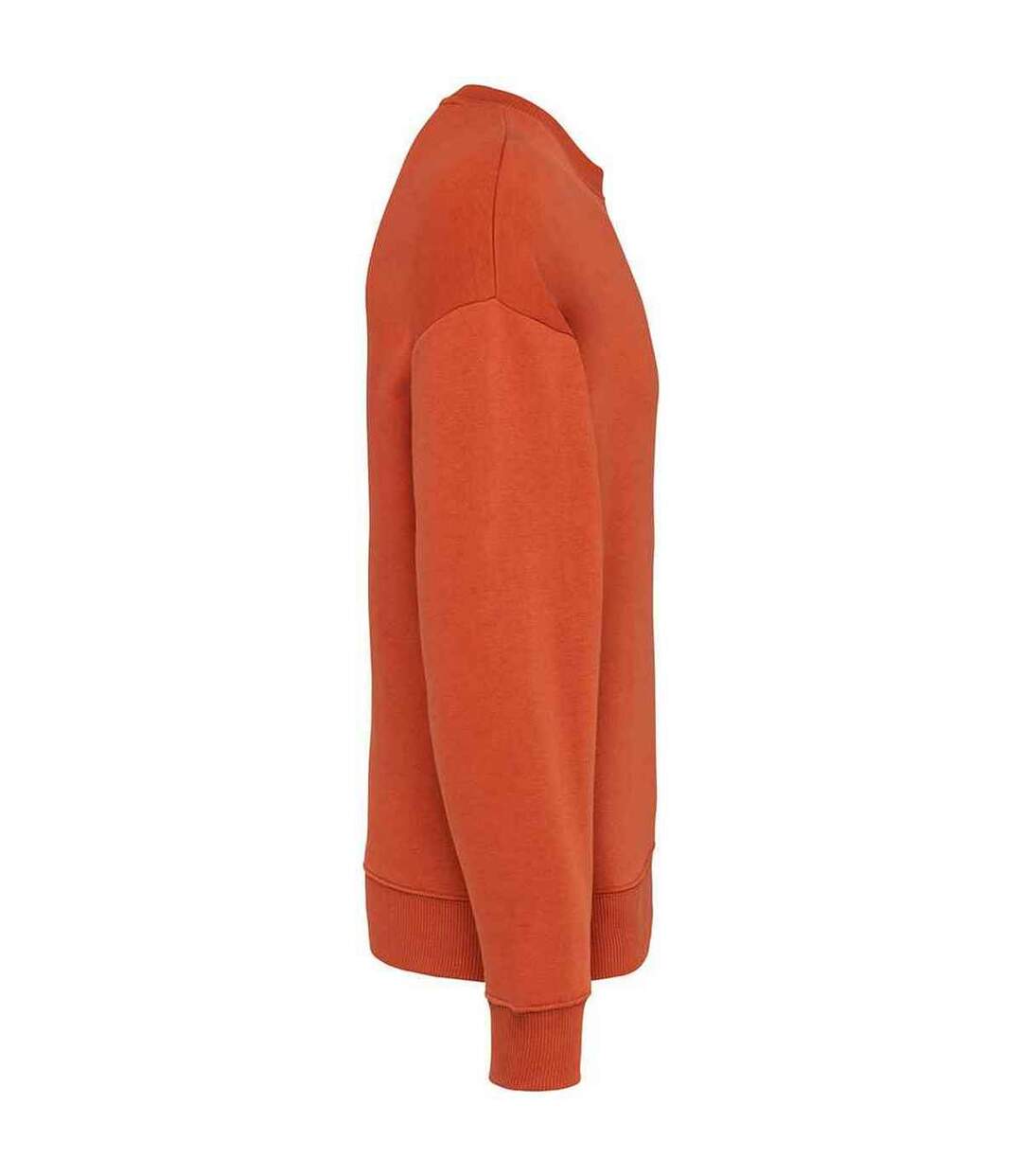 Womens/ladies oversized sweatshirt burnt brick Native Spirit-3