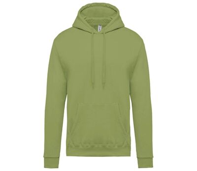 Sweat-shirt à capuche - Unisexe - K476 - vert pistache