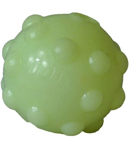 Jolly Pets - Balle pour chiens JOLLY JUMPER (Vert pâle) (10,16 cm) - UTTL5217