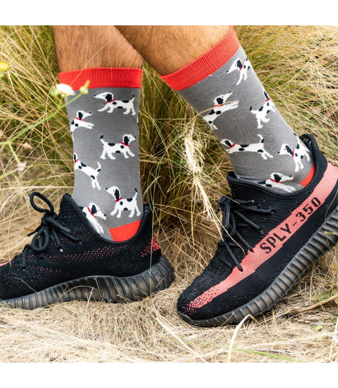 1 Pack Mens Novelty Dog Patterned Bamboo Socks-3