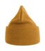 Atlantis Unisex Adult Pure Recycled Beanie (Mustard Yellow) - UTAB549