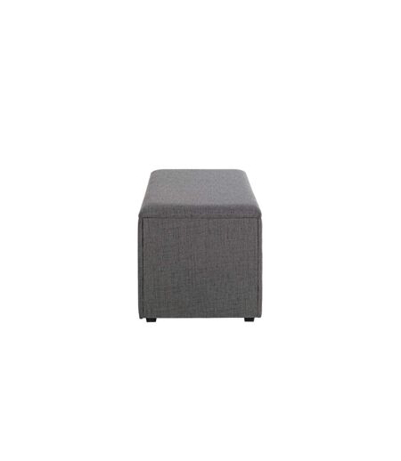 Coffre de Rangement Design Lumyna 65cm Gris