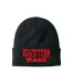 Amplified Unisex Adult Led Zeppelin Beanie (Black) - UTGD186-1