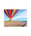 Vol en montgolfière pour 2 personnes au-dessus de la Provence en semaine - SMARTBOX - Coffret Cadeau Sport & Aventure
