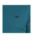 Mens Classic Organic T-shirt Teal Raging Bull-4