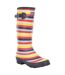 Regatta Womens/Ladies Ly Fairweather II Tall Durable Wellington Boots (Multicoloured Stripe) - UTRG3770-1