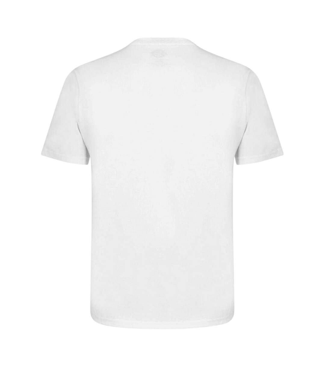 T-shirt Motif/style Icône Homme Blanc Dickies-2