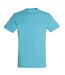 SOLS Mens Regent Short Sleeve T-Shirt (Aqua)
