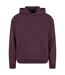 Sweat À Capuche Homme Violet Prune Build Your Brand-2