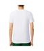 T-Shirt blanc homme lacoste d'intérieur slim fit - m-2