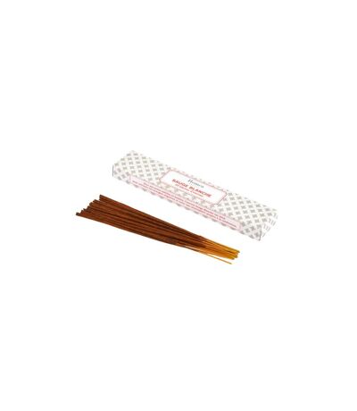 Lot de 20 Bâtons d'Encens Senteur 21cm Sauge Blanche