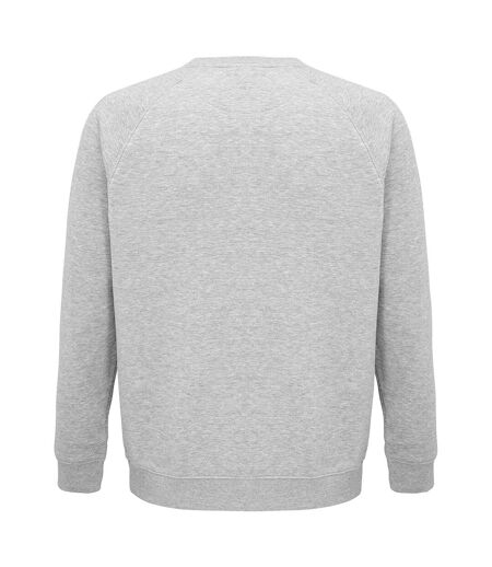 SOLS Unisex Adult Space Organic Raglan Sweatshirt (Gray Marl)