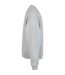 Pull Homme Gris Pâle Urban Classics-3